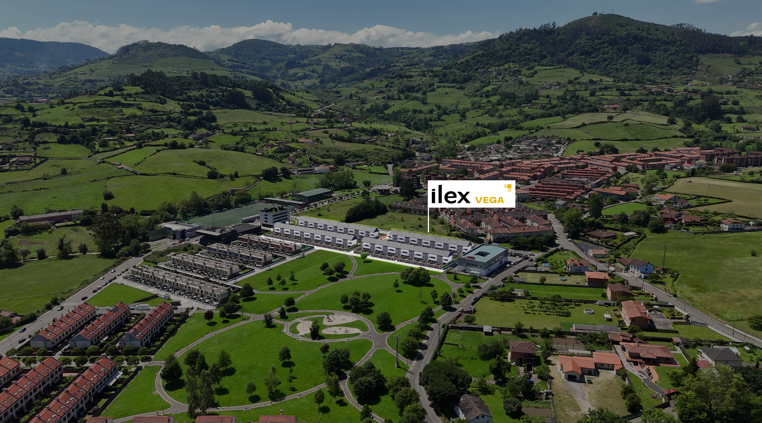 Proyecto Ilex Vega